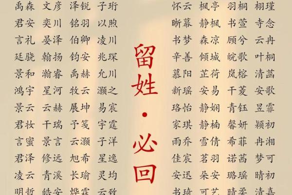 起名字典-姓名学姓名