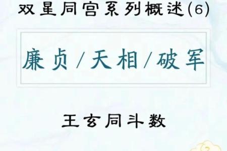 《紫微斗数》：廉贞天相文曲入福德宫事业如何