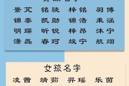 起名字典-姓名学姓名