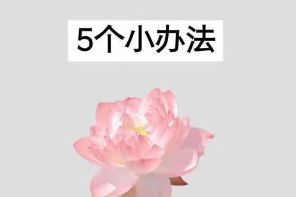 风水知识：十个旺财风水小秘诀