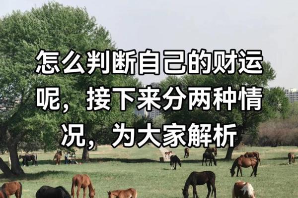 财运风水不好，你就知道后悔了