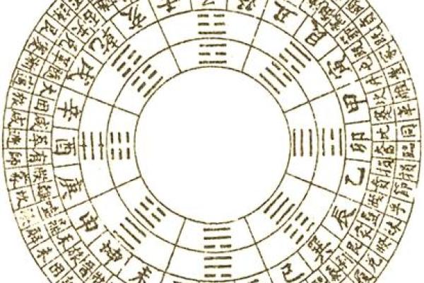 不老的八字