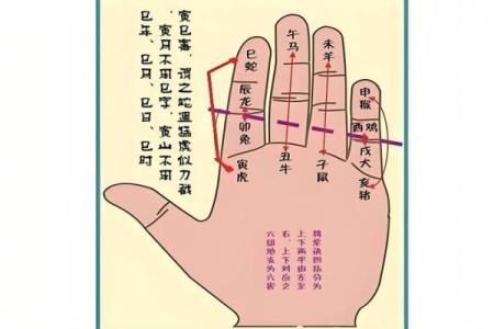 命运测试算命免费,怎样测算自己的命运