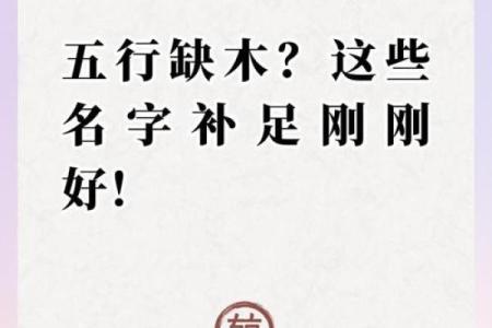 2024年立秋出生的男孩八字缺木怎么取名？五行缺木有什么影响？
