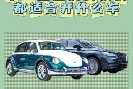 十二星座长大适合开什么车子