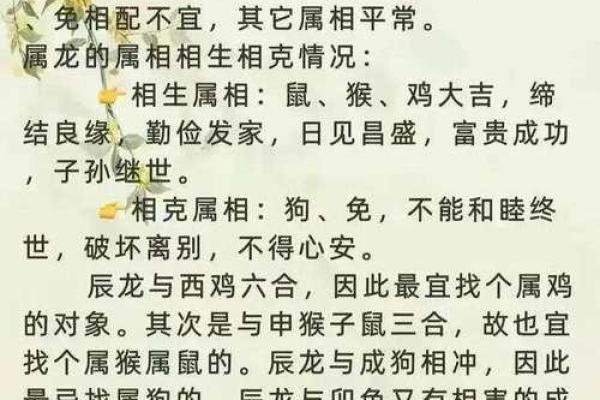 1996年属什么生肖配对