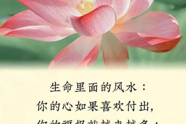 福报越来越重有哪些征兆风水