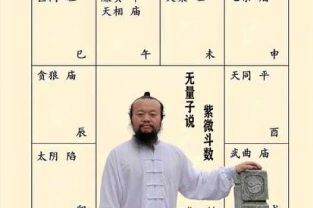 紫薇斗数夫之疾