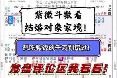 紫薇斗数看再婚