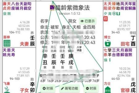 紫薇斗数怎么kan