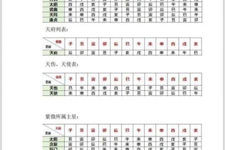 紫薇斗数丙丁生人