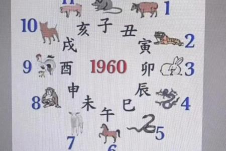 中华预测网紫微斗数 中华国学紫微斗数培训官网？