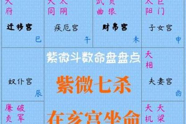 紫薇斗数哪个命格更好
