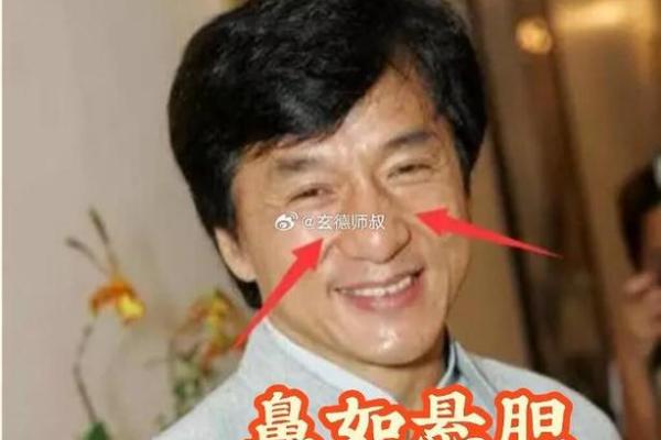 面相风水鹰钩鼻子的女人有福气吗