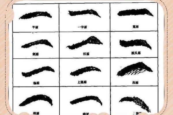 男人眉毛看相算命