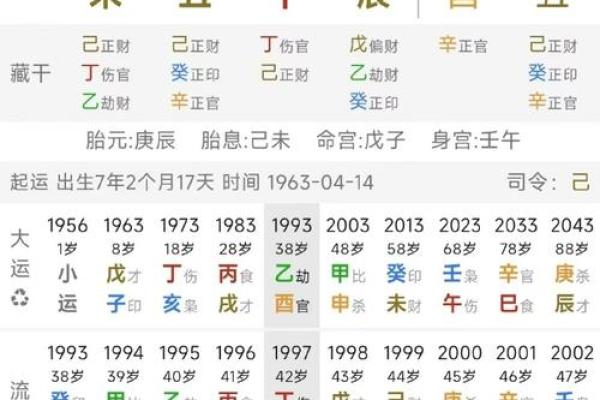 八字大海水命