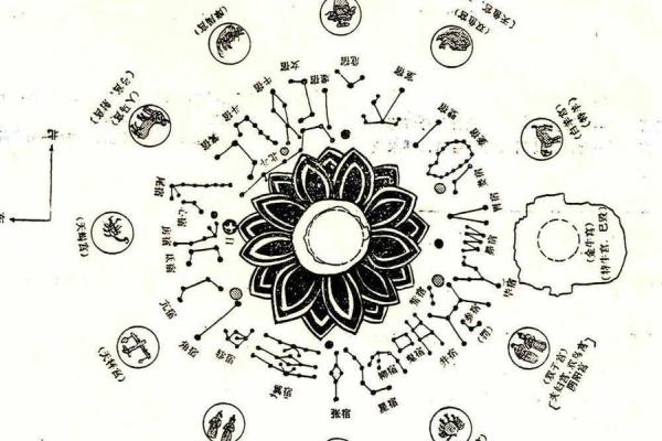 紫微斗数太阳星和紫微 太阳和紫微星谁大？