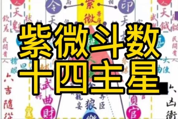 紫微斗数太阳星和紫微 太阳和紫微星谁大？