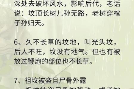 墓地风水六大忌讳