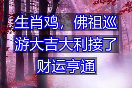 佛祖灵签29签生肖鸡