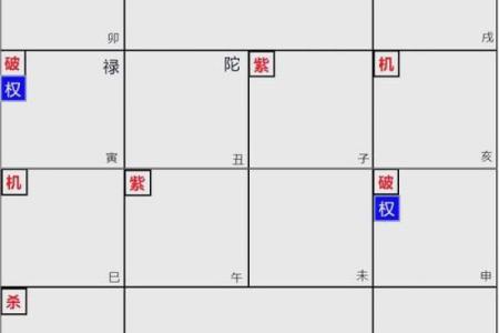 紫微斗数财运,紫微斗数财富分析