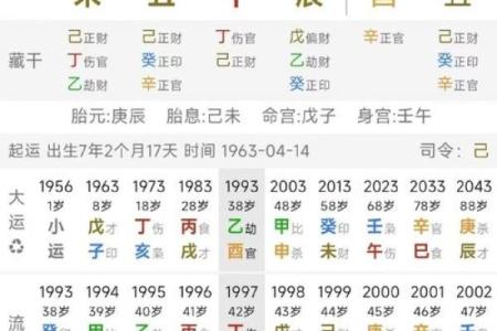 八字大海水命