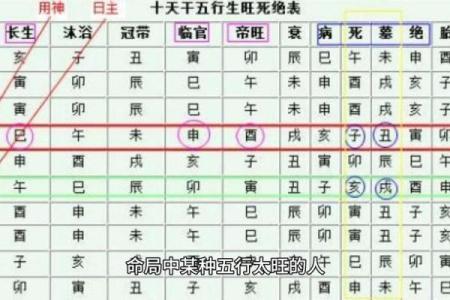 极弱八字