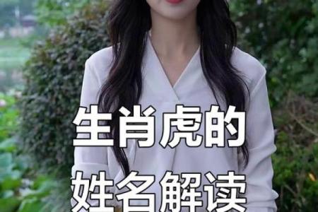 属虎方位吉凶查询大全视频