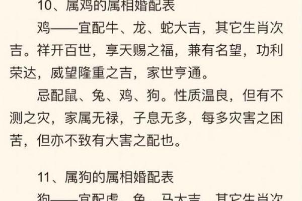 生肖配对属鼠属鸡的婚姻怎么样