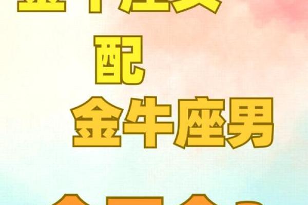 金牛女和金牛男配对指数分析