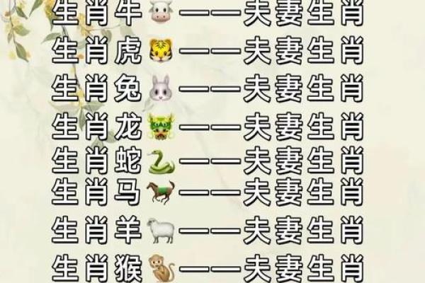 属龙姻缘配对