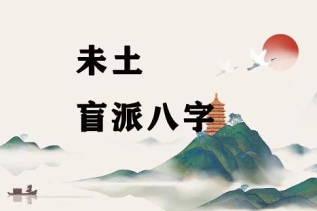 清娟盲派八字内部资料
