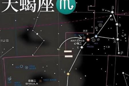 两个针锋相遇的星座有哪些