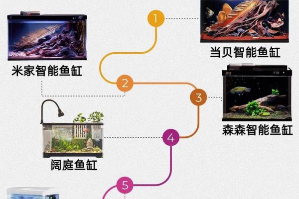这两个方位放鱼缸会有很大好处