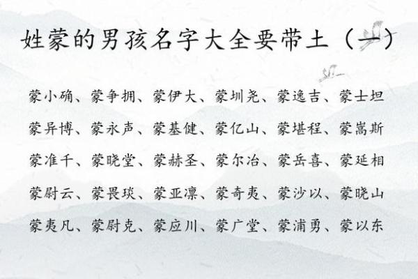 2019年6月24号卯时出生的男孩如何起名姓名