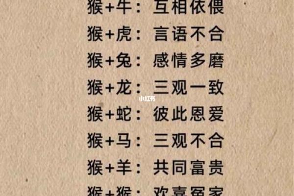 属猴的和属蛇的配对是否合适