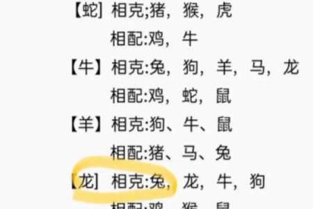 生肖配对表 兔和猪适合在一起吗