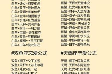 12星座谁最适合姐弟恋
