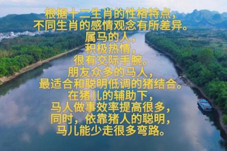 婚姻属相配对查询属马 哪些属相与属马最相配