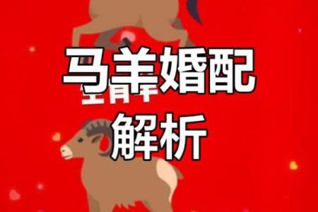 属相羊配对姻缘 属相羊婚配属相最好？