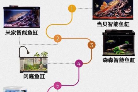 这两个方位放鱼缸会有很大好处