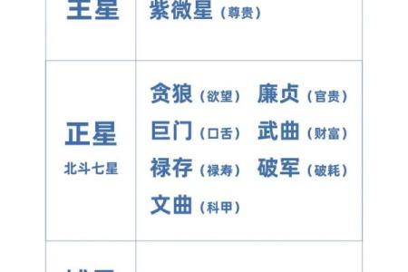 紫薇斗数宫主