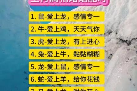 生肖配对指数 生肖配对指数真的准吗