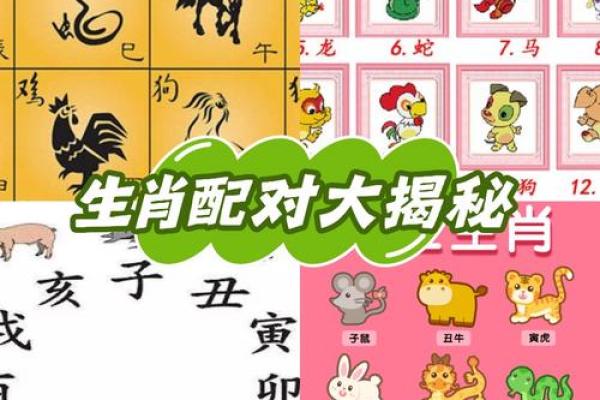 属相配对表