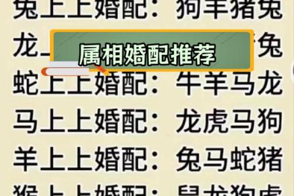 属相配对表