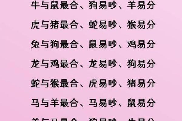 生肖属兔和属狗的合不合 相合配对指数