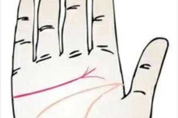男人左手手纹算命图解婚姻线 感情线预示感情状况