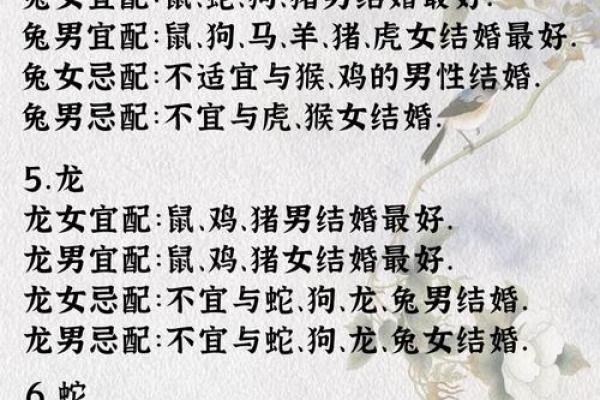 最准的12生肖配对表男龙女兔马 属相婚配男龙女兔