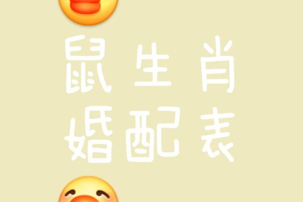 生肖鼠与十二生肖配对情况