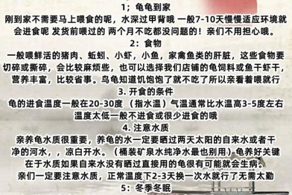 哪个生肖不宜养龟风水